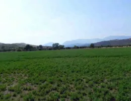 Aste giudiziarie immobiliari online - 5.0