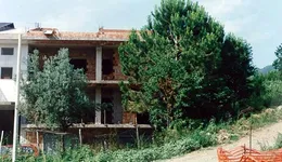 Aste giudiziarie immobiliari online - 5.0