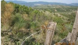 Aste giudiziarie immobiliari online - 10.0