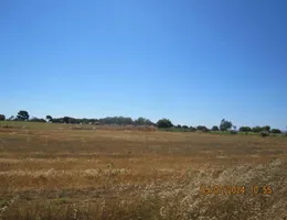 Aste giudiziarie immobiliari online - 8.0