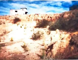 Aste giudiziarie immobiliari online - 4.0