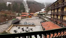 Aste giudiziarie immobiliari online - 9.0