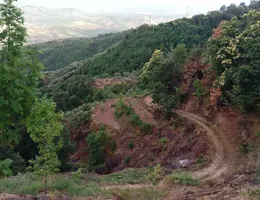 Aste giudiziarie immobiliari online - 2.0