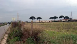 Aste giudiziarie immobiliari online - 10.0
