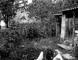 Aste giudiziarie immobiliari online - 1.0