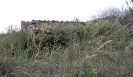 Aste giudiziarie immobiliari online - 9.0