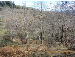 Aste giudiziarie immobiliari online - 9.0