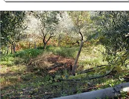 Aste giudiziarie immobiliari online - 9.0