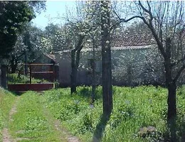 Aste giudiziarie immobiliari online - 5.0