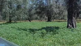 Aste giudiziarie immobiliari online - 12.0