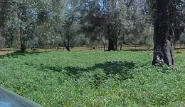 Aste giudiziarie immobiliari online - 10.0