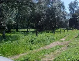 Aste giudiziarie immobiliari online - 12.0