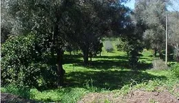 Aste giudiziarie immobiliari online - 6.0