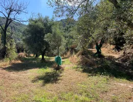 Aste giudiziarie immobiliari online - 2.0