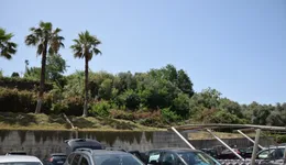 Aste giudiziarie immobiliari online - 7.0