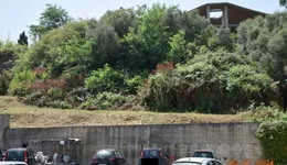Aste giudiziarie immobiliari online - 12.0