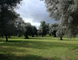 Aste giudiziarie immobiliari online - 6.0
