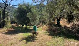 Aste giudiziarie immobiliari online - 10.0