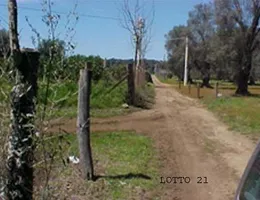 Aste giudiziarie immobiliari online - 8.0