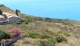 Aste giudiziarie immobiliari online - 8.0