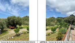 Aste giudiziarie immobiliari online - 4.0