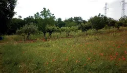 Aste giudiziarie immobiliari online - 7.0