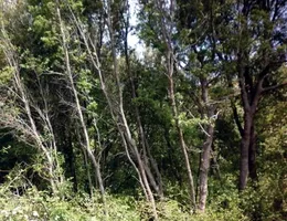 Aste giudiziarie immobiliari online - 9.0