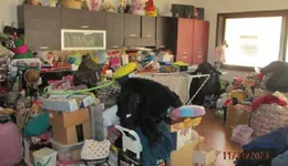 Aste giudiziarie immobiliari online - 4.0