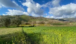 Aste giudiziarie immobiliari online - 6.0