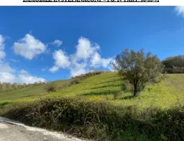 Aste giudiziarie immobiliari online - 2.0