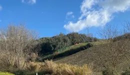 Aste giudiziarie immobiliari online - 12.0