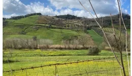 Aste giudiziarie immobiliari online - 5.0