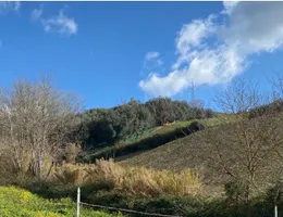 Aste giudiziarie immobiliari online - 11.0