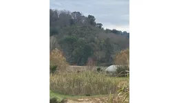 Aste giudiziarie immobiliari online - 11.0