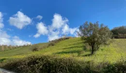 Aste giudiziarie immobiliari online - 3.0