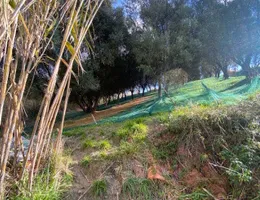 Aste giudiziarie immobiliari online - 2.0