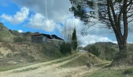 Aste giudiziarie immobiliari online - 6.0