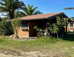 Aste giudiziarie immobiliari online - 7.0