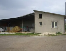 Aste giudiziarie immobiliari online - 9.0