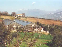 Aste giudiziarie immobiliari online - 5.0