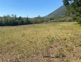 Aste giudiziarie immobiliari online - 9.0