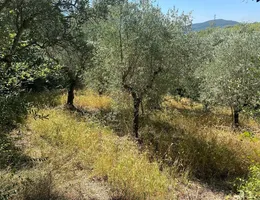 Aste giudiziarie immobiliari online - 8.0