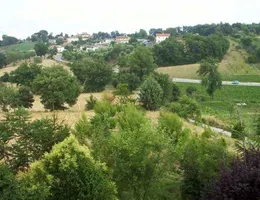 Aste giudiziarie immobiliari online - 4.0