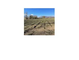 Aste giudiziarie immobiliari online - 11.0