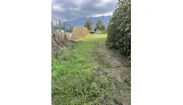 Aste giudiziarie immobiliari online - 6.0