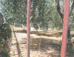 Aste giudiziarie immobiliari online - 2.0