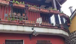 Aste giudiziarie immobiliari online - 4.0