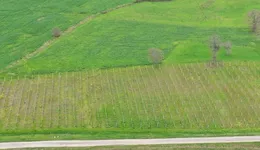 Aste giudiziarie immobiliari online - 10.0