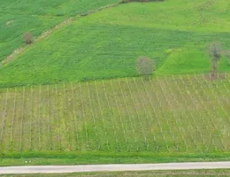 Aste giudiziarie immobiliari online - 10.0