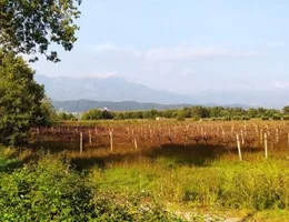 Aste giudiziarie immobiliari online - 9.0